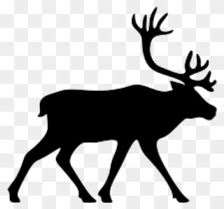 320x299 Elk Clipart Caribou