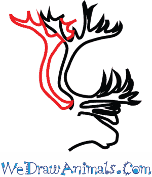 300x350 How To Draw A Caribou