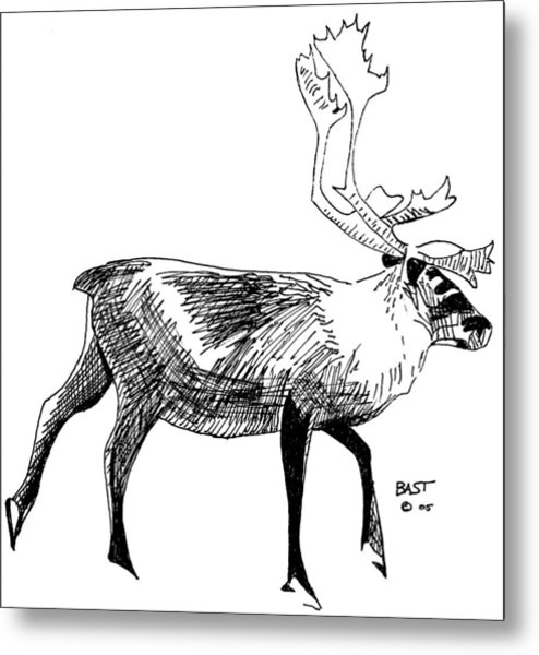 494x600 Mountain Caribou Drawing