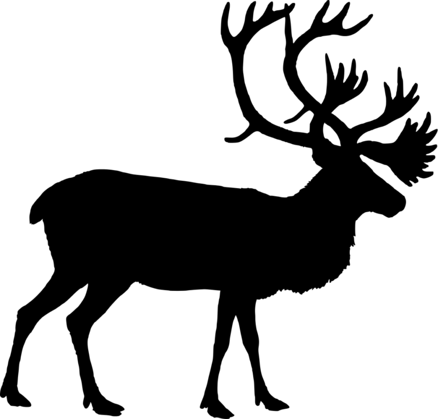 900x860 Reindeer, Deer, Drawing, Transparent Png Image Clipart Free Download