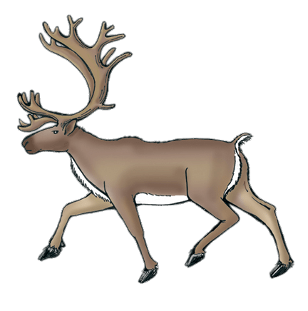 432x436 Reindeer