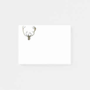 307x307 Caribou Drawing Gifts On Zazzle