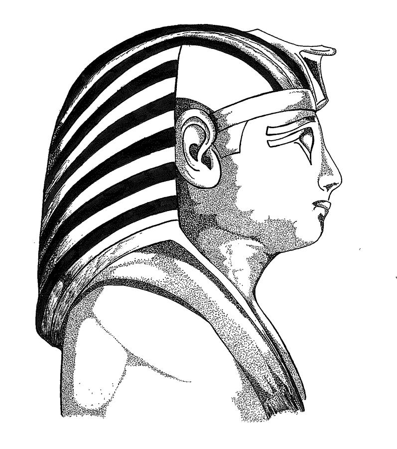 797x900 King Tut Drawing