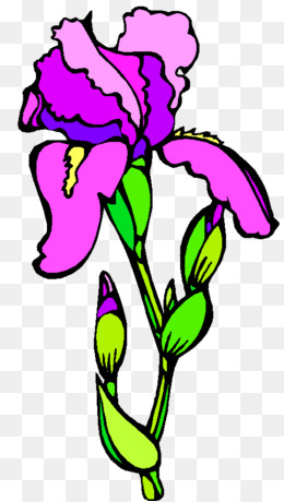 260x460 Carnation Ohio Drawing Clip Art