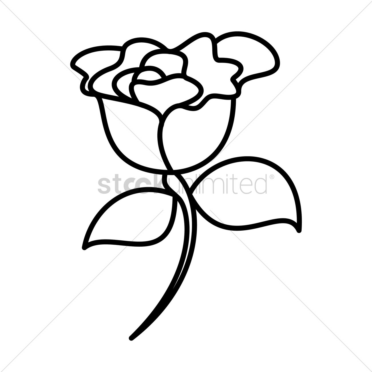 1300x1300 Carnation Flower Vector Image