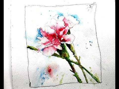 480x360 Painting Carnations In Watercolor With Chris Petri