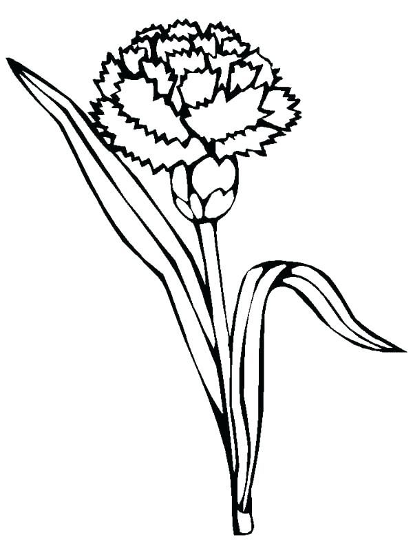 600x800 Simple Flower Coloring Pages