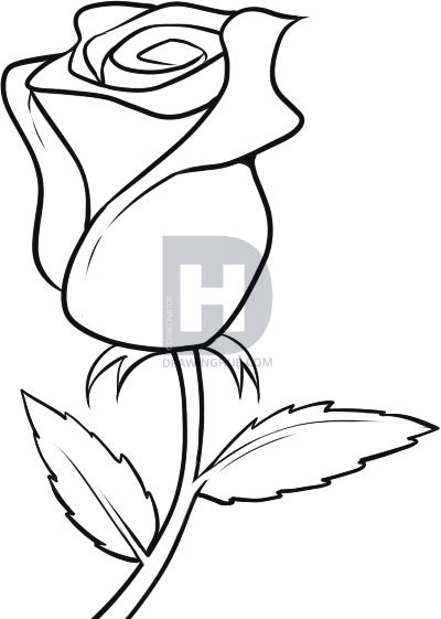 400x561 Flower Pictures That You Can Draw