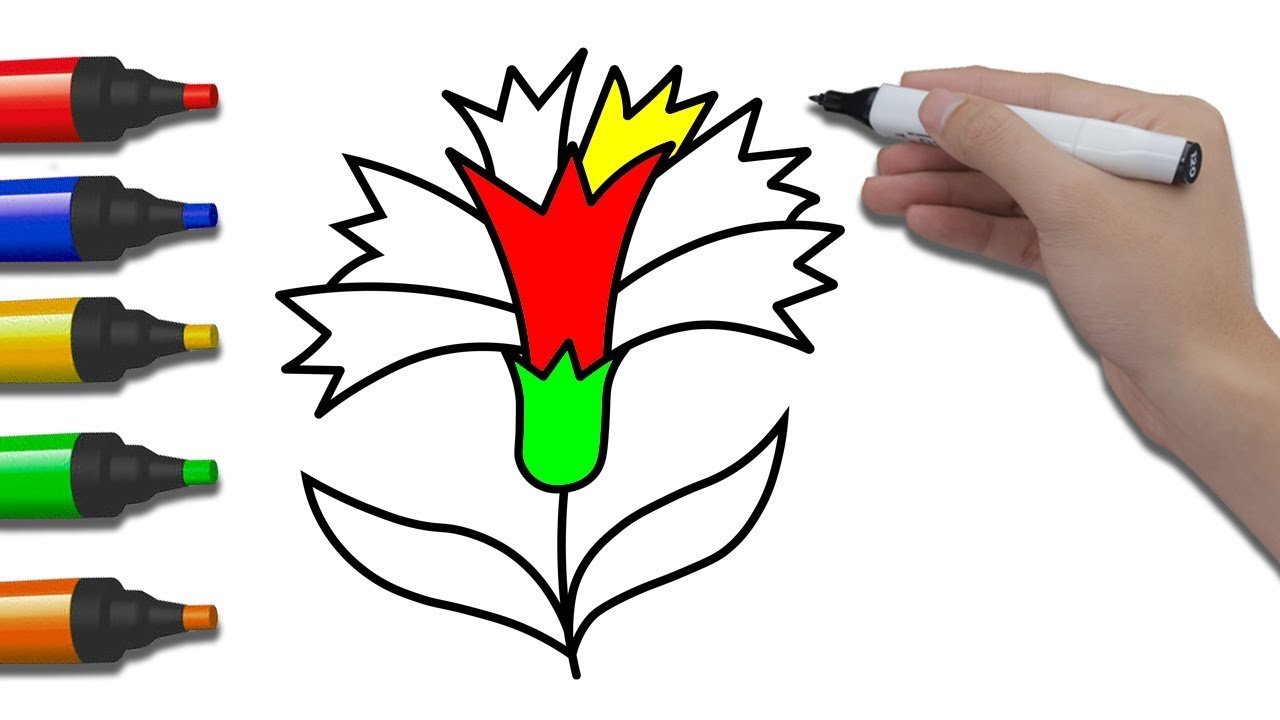 1280x720 How To Draw Carnation For Kids Coloring Pages For Children Art