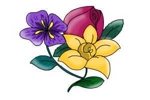 300x200 How To Draw A Carnation Flower