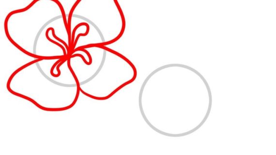 570x320 How To Draw Flowers With Pencil Step