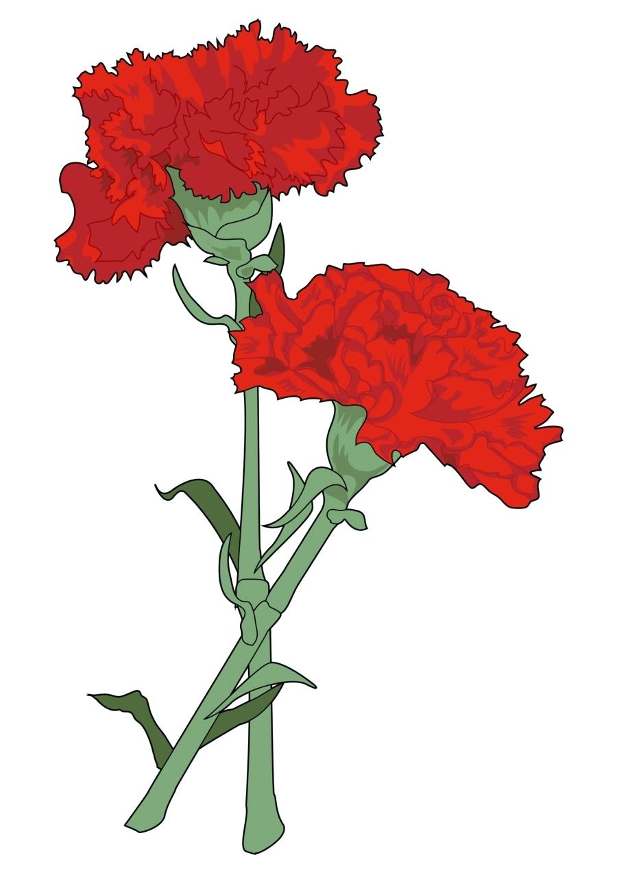 900x1280 Watercolor Carnations Redcrown Club
