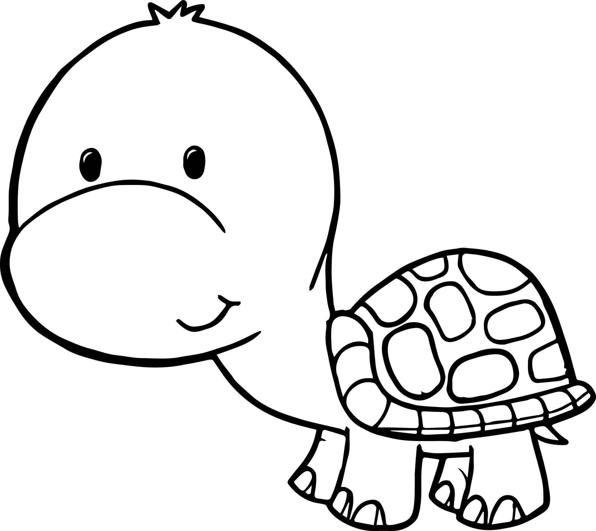 1920x1711 Cartoon Turtle Drawing Step