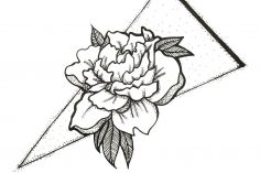 236x157 carnation drawing simple white flower easy a carmi chaelinn