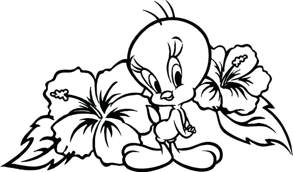 974x573 Carnation Flower In Spanish Coloring Pages For Girls Pdf Boys