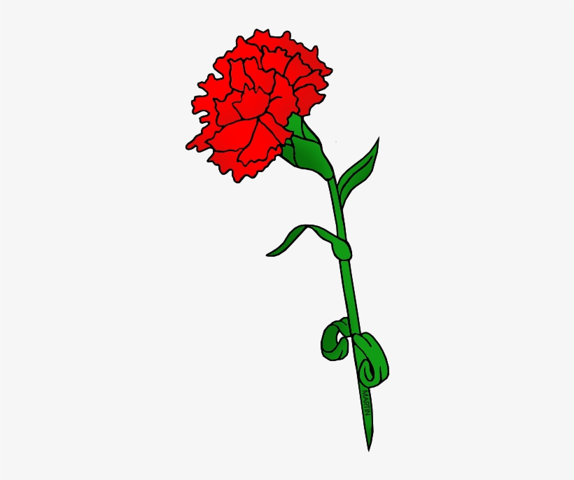 820x686 Ohio Carnation Flower Clipart