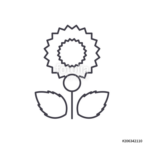 500x500 carnation line icon, vector illustration carnation flat concept