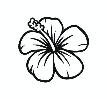 431x399 How To Draw Really Cool Flowers How Drawing Carnation Flowers Step