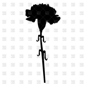 300x300 Photostock Vector Carnation Flower Drawing And Sketch With Black