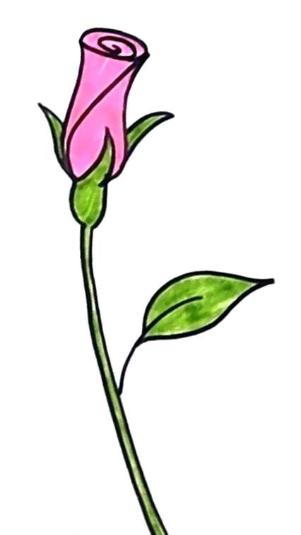 426x756 simple rose bud drawing how to draw a rosebud simple rose bud