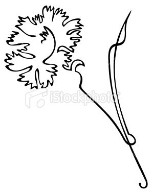 297x380 Tattoo White Ink Crafting Sesh Carnation Tattoo, Carnations