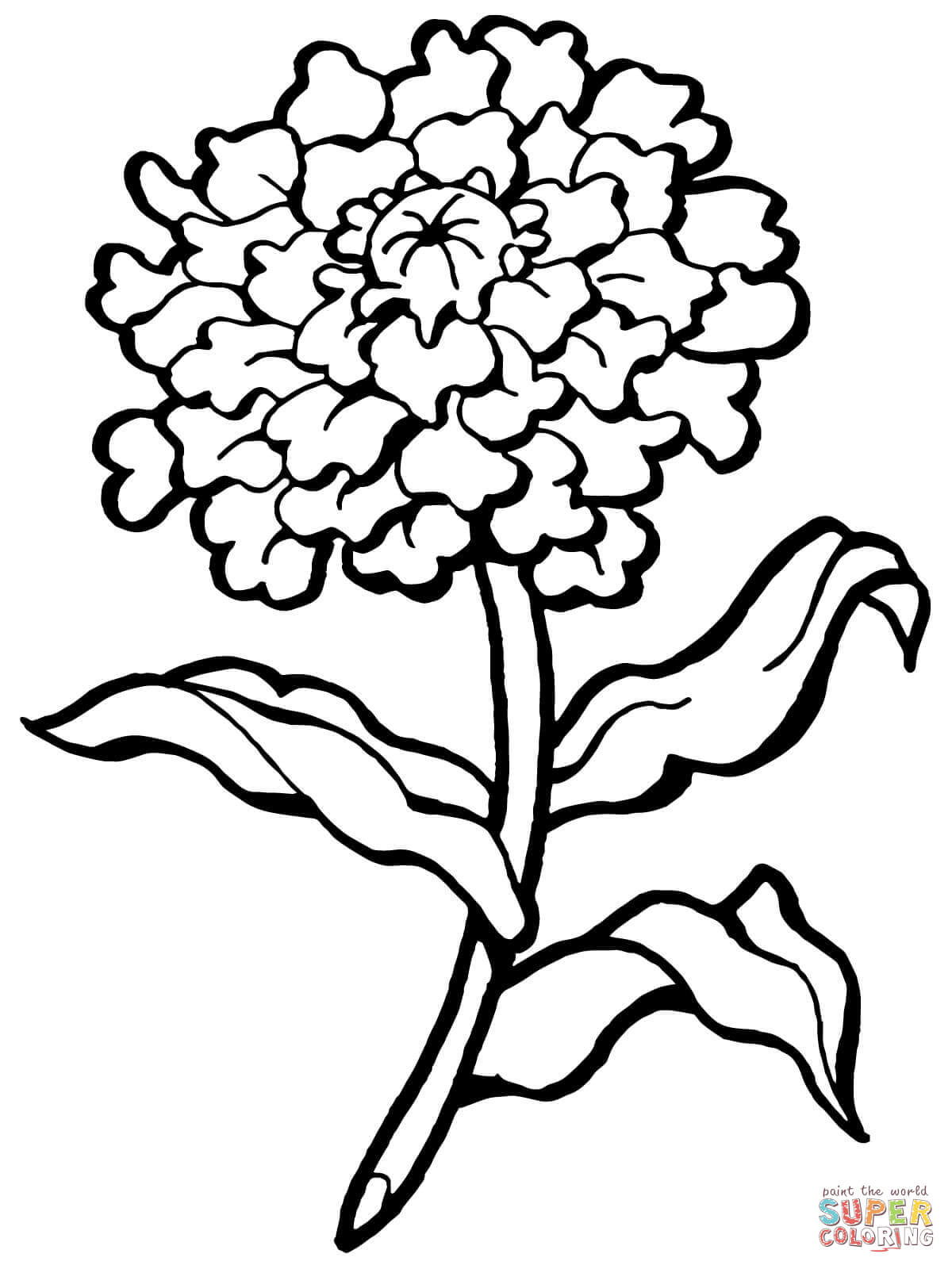 Carnation Line Drawing | Free download on ClipArtMag