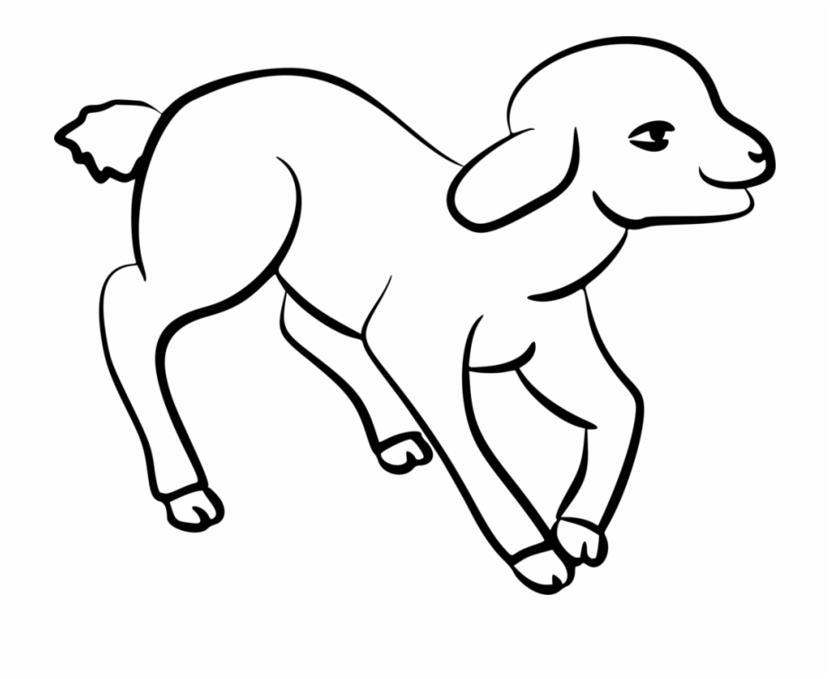 920x752 Drawing Sheep Cool