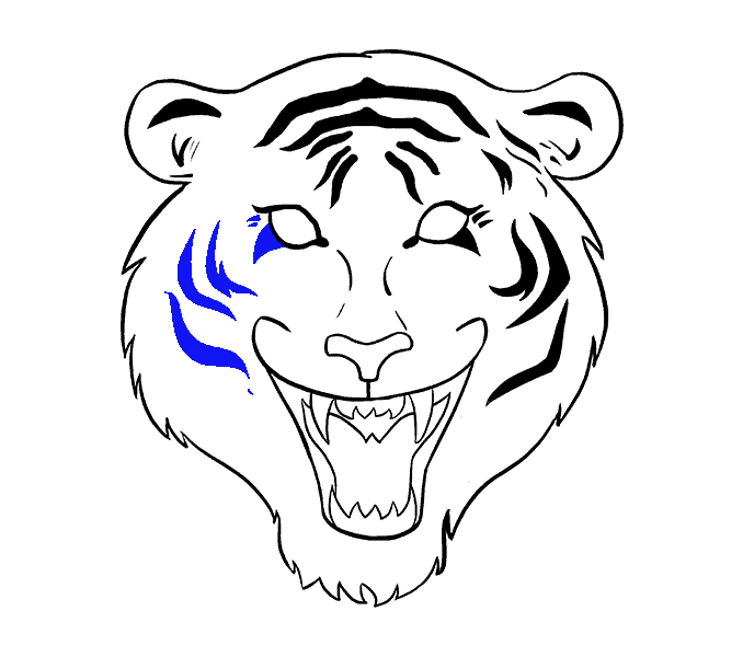 678x600 How To Draw Tiger Step