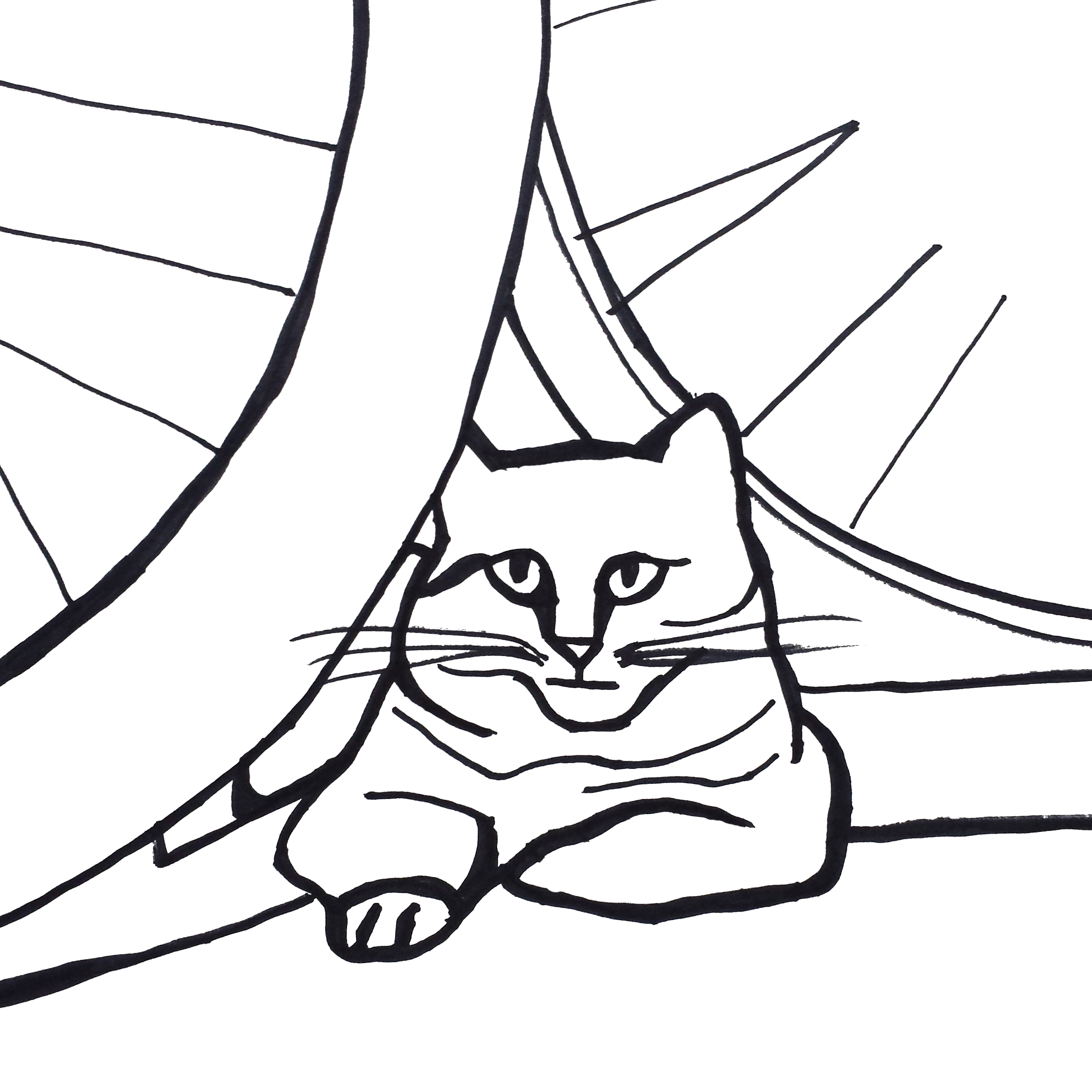 2322x2322 Day Minimalist Cat Drawing Challenge