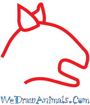 300x350 How To Draw A Carnotaurus