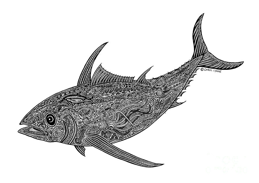 900x637 tribal albacore drawing