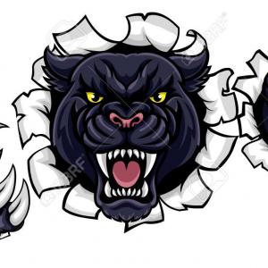 300x300 Carolina Panthers Logo Vector Hd Wallpaper Images Arenawp