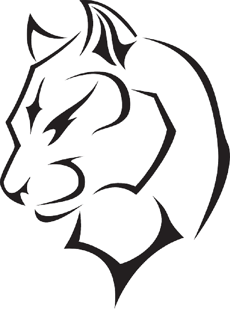 800x1075 Panther Drawing Outline Clipart Best Logo Image