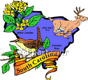 300x271 Carolina Wren Clipart