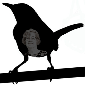 300x305 My Wrendition Of A Carolina Wren The Creative Process Orchid W