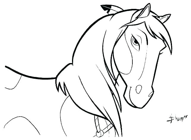 642x473 coloring pictures horses free horse coloring pages of horses