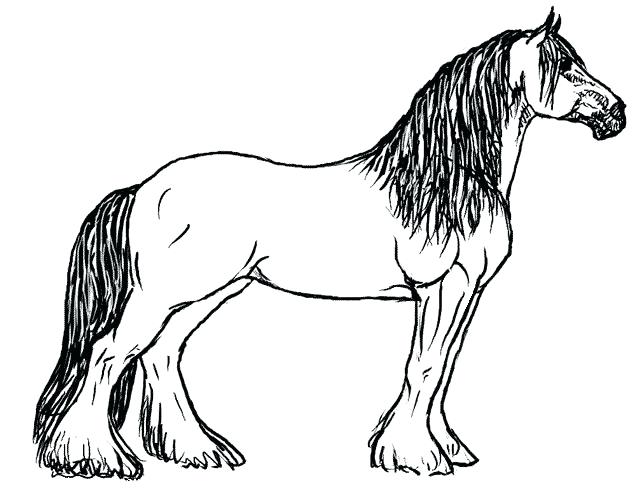 641x504 Coloring Pictures Of Horses Free Horse Coloring Pages Horse