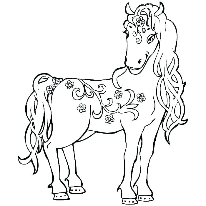 700x700 Horse Coloring Picture Free