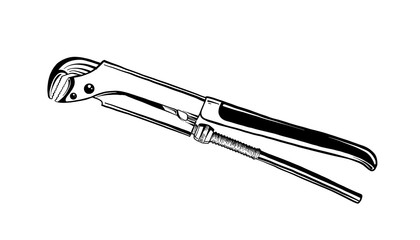 420x240 Vector Engraved Style Illustration For Logo, Emblem, Label