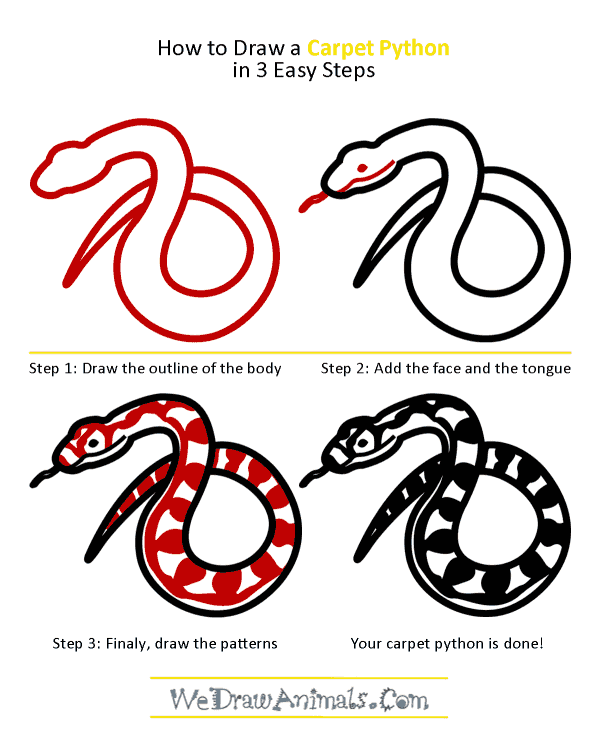 600x739 How To Draw A Carpet Python