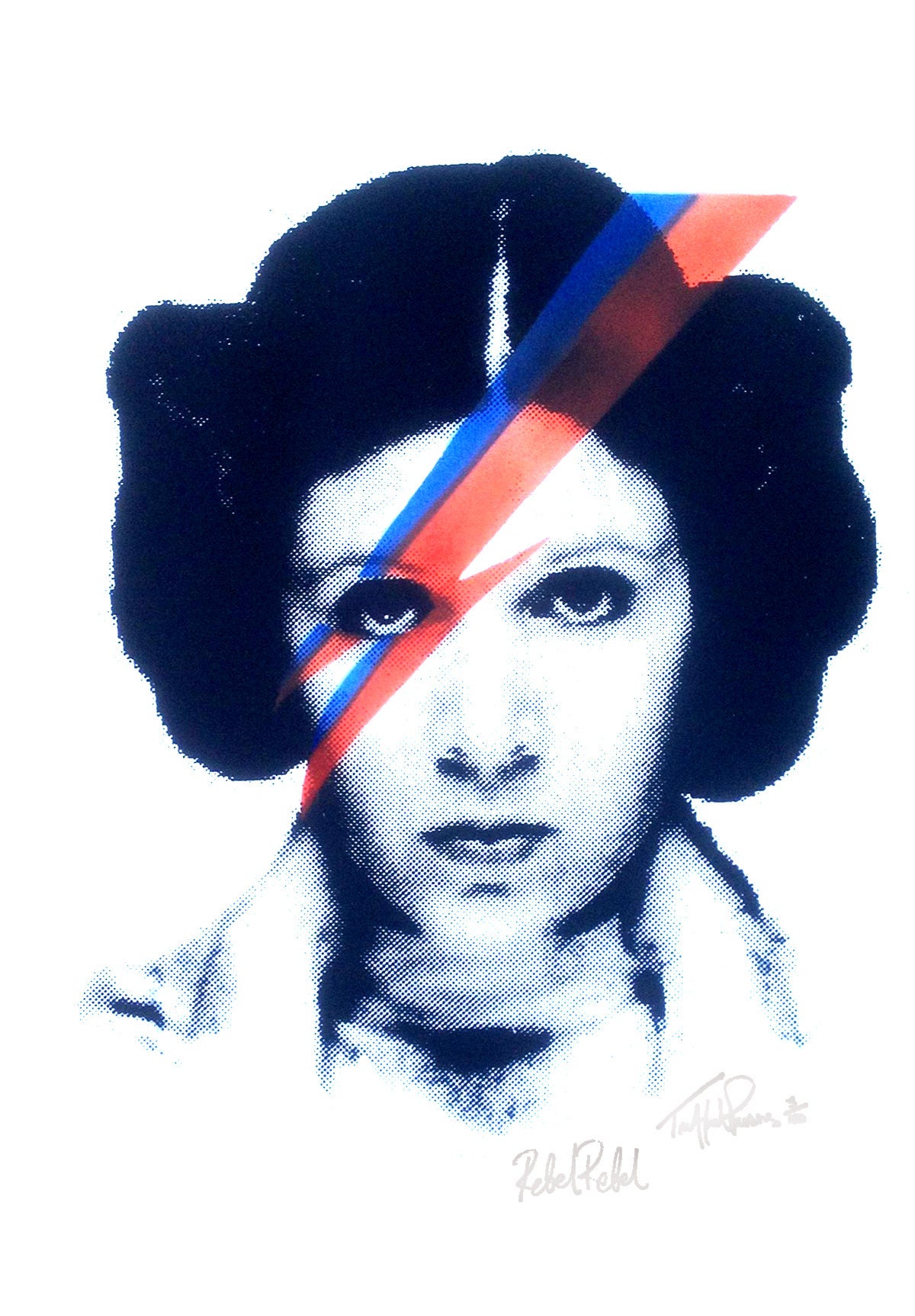1200x1725 princess leia carrie fisher star wars screen print art pop etsy