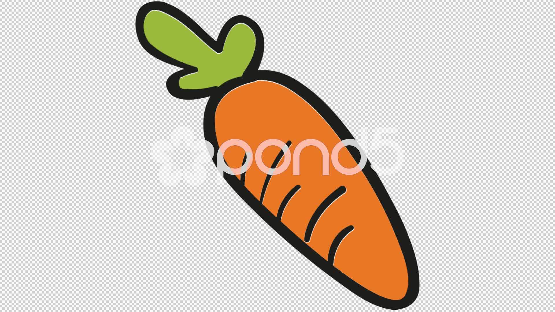 1920x1080 Video Carrot Vegetable Line Drawing Animation Illustration