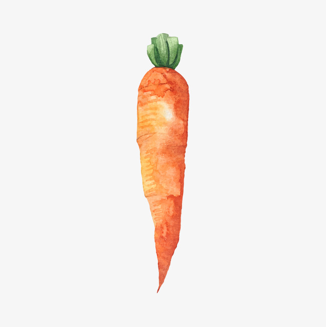 650x651 Drawing Carrot Png Images Vectors And Free Download