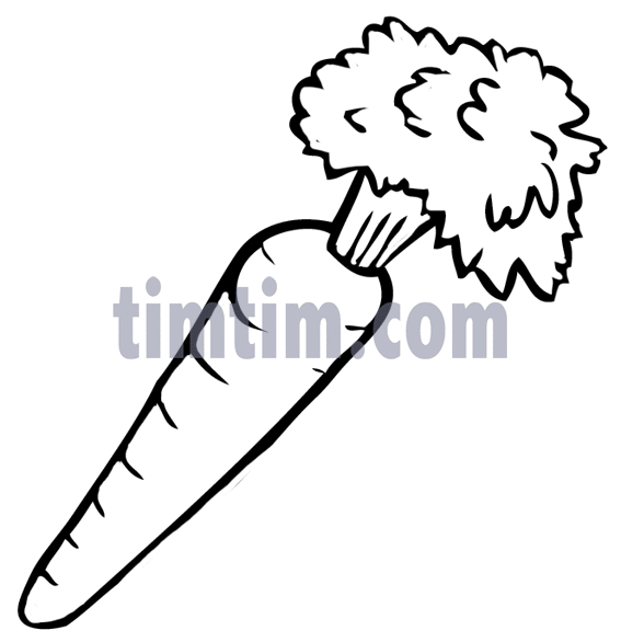 567x586 Free Drawing Of Carrot Bw From The Category Cooking Food Drink