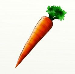 248x247 how to draw a carrot fun drawing tutorials carrot drawing