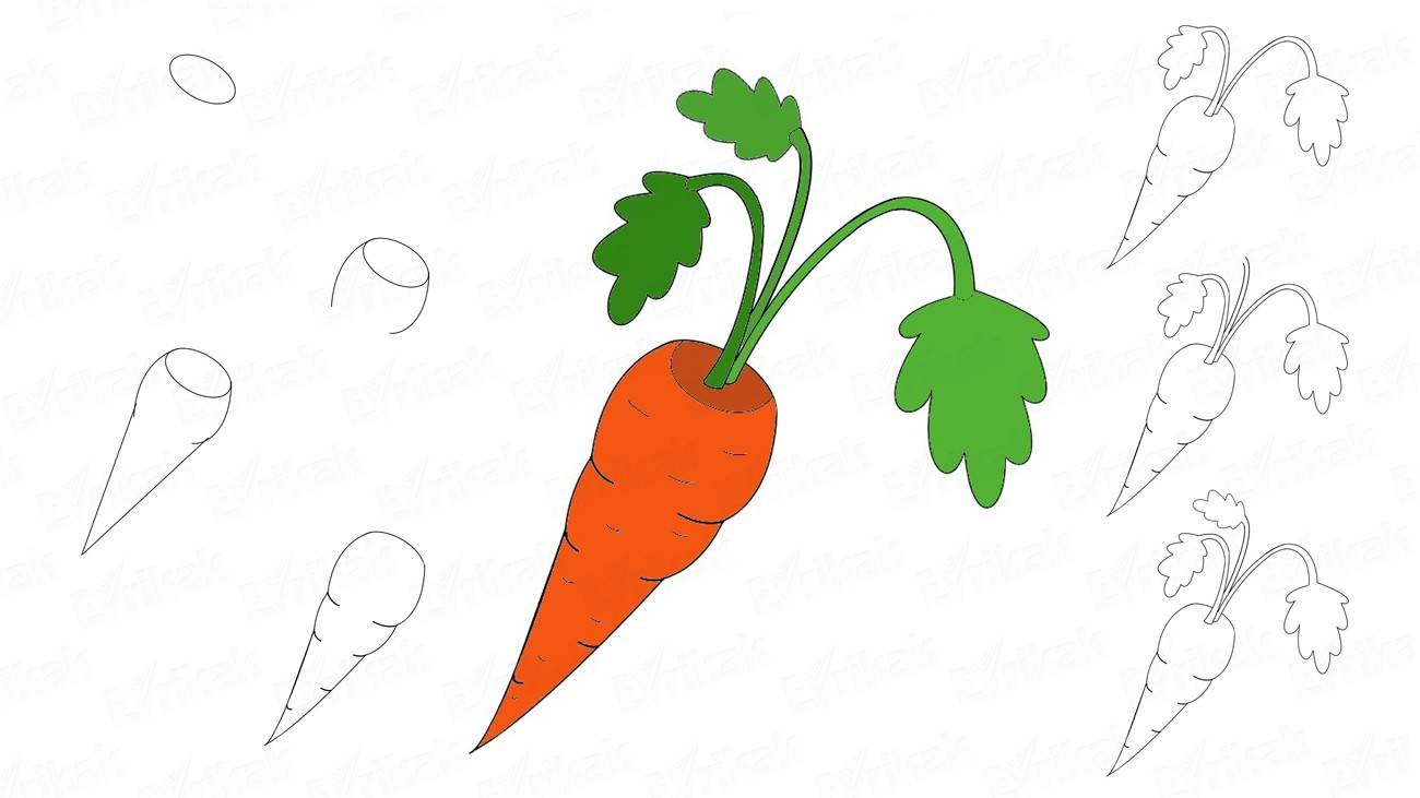 1300x731 how to draw a carrot for a child in stages