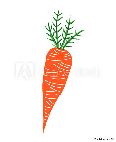 410x500 Line Art Root Vegetable, Hand Drawing Doodles Carrot
