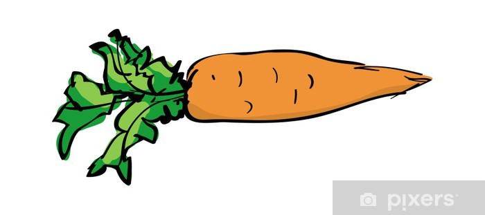700x311 Vector Sketch Drawing Of A Carrot Sticker We Live