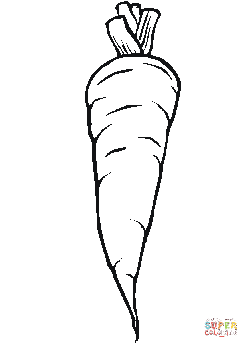 Carrot Line Drawing