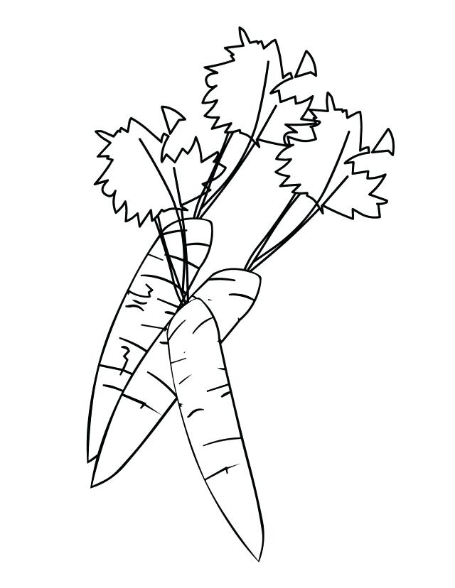 640x828 carrot coloring pages carrot coloring pages coloring book